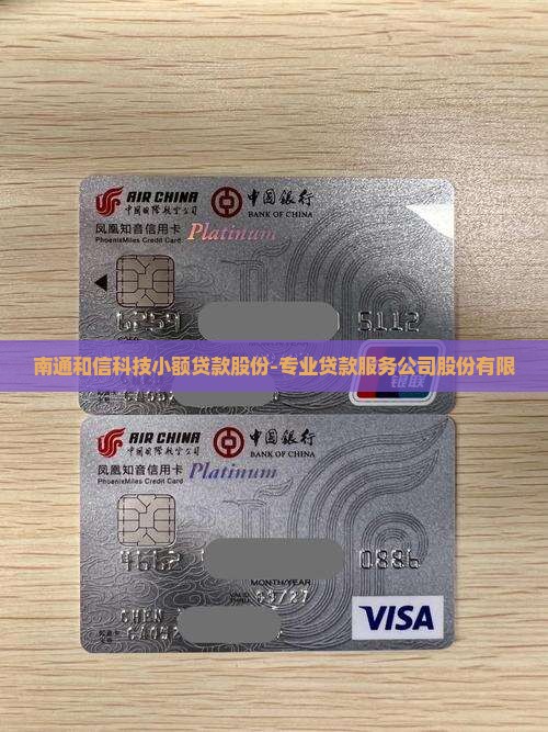 南通和信科技小额贷款股份-专业贷款服务公司股份有限