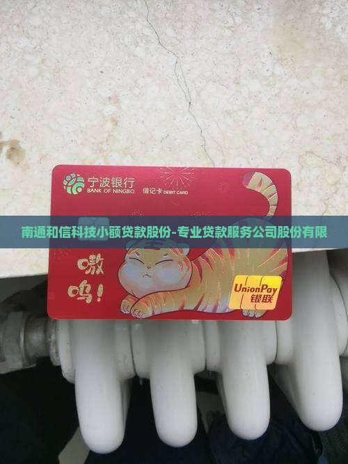 南通和信科技小额贷款股份-专业贷款服务公司股份有限
