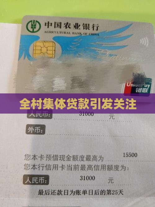 全村集体贷款引发关注