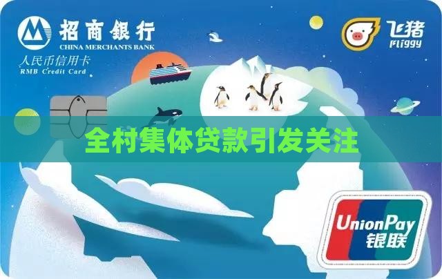 全村集体贷款引发关注