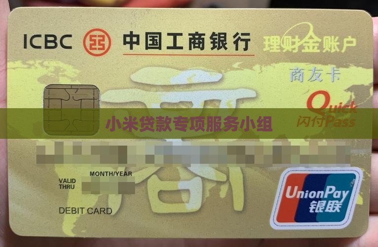 小米贷款专项服务小组