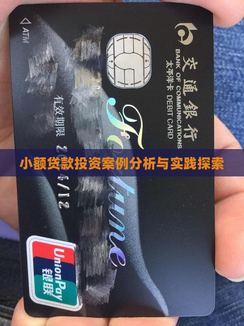 小额贷款投资案例分析与实践探索