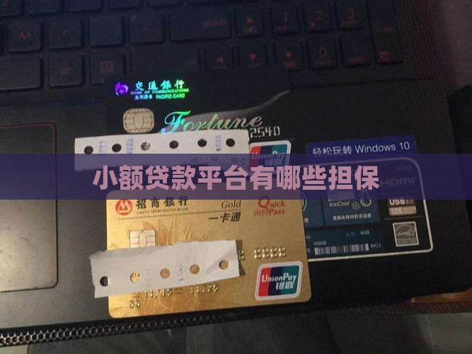 小额贷款平台有哪些担保