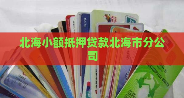 北海小额抵押贷款北海市分公司