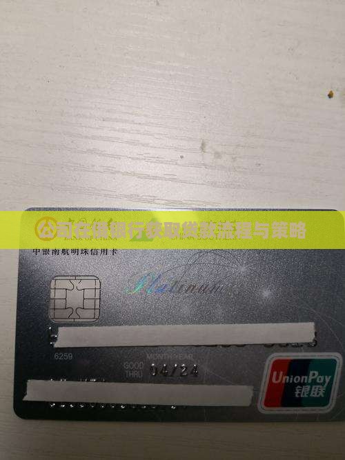 公司在俄银行获取贷款流程与策略