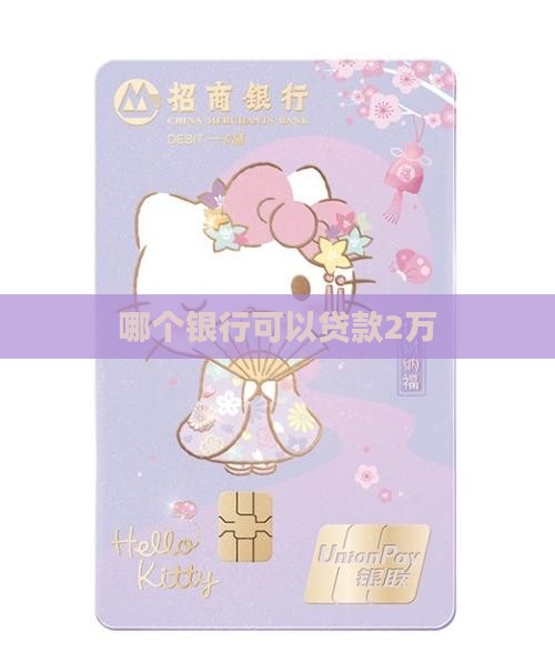 哪个银行可以贷款2万