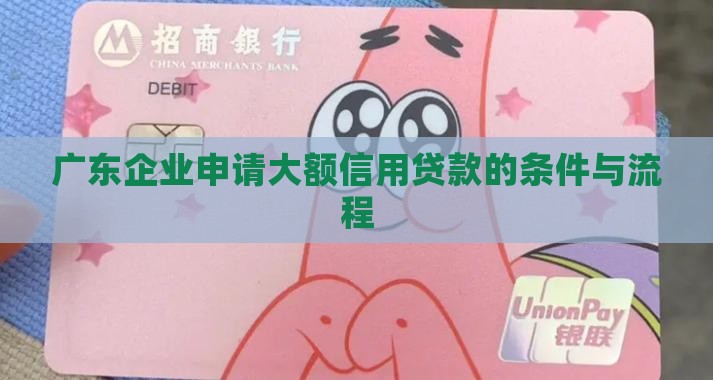 广东企业申请大额信用贷款的条件与流程