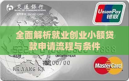 全面解析就业创业小额贷款申请流程与条件