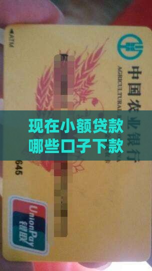 现在小额贷款哪些口子下款快且不看征信