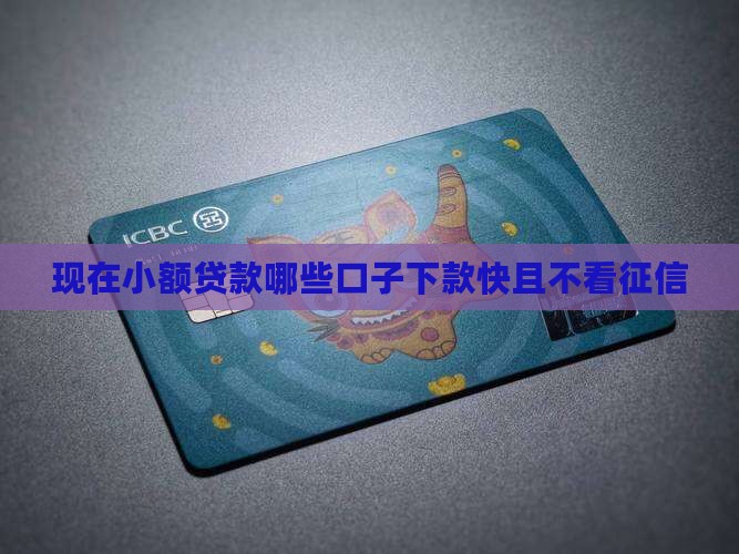 现在小额贷款哪些口子下款快且不看征信