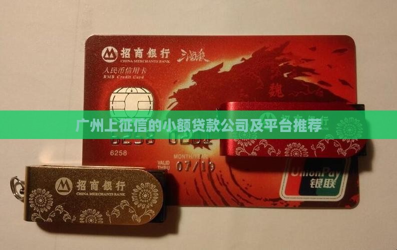 广州上征信的小额贷款公司及平台推荐