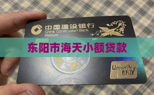 东阳市海天小额贷款