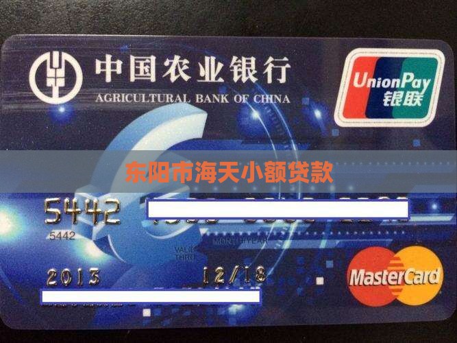 东阳市海天小额贷款