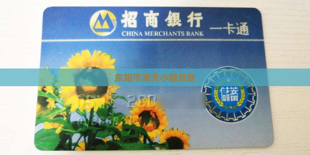 东阳市海天小额贷款