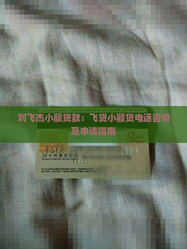 刘飞杰小额贷款：飞贷小额贷电话咨询及申请指南