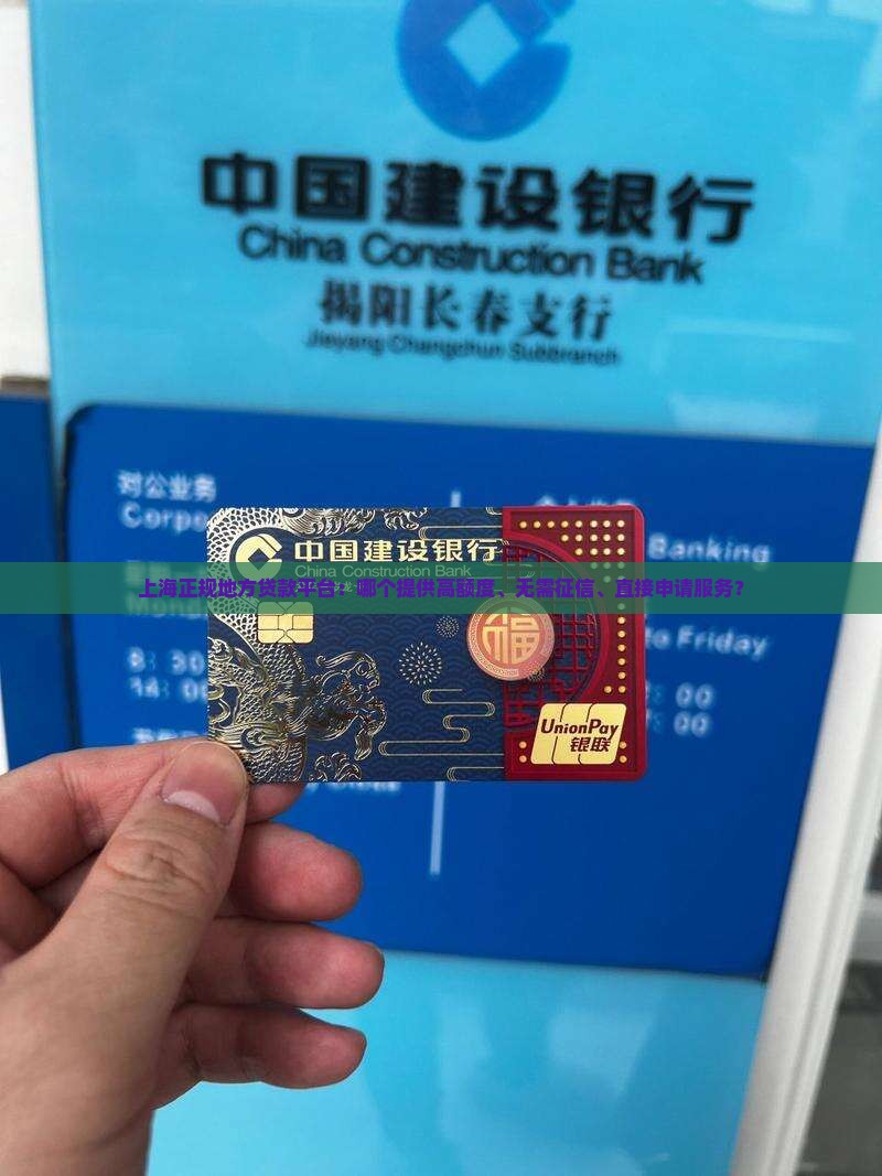 上海正规地方贷款平台：哪个提供高额度、无需征信、直接申请服务？