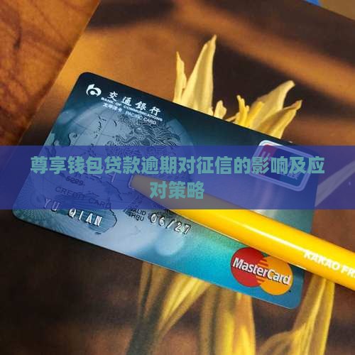 尊享钱包贷款逾期对征信的影响及应对策略