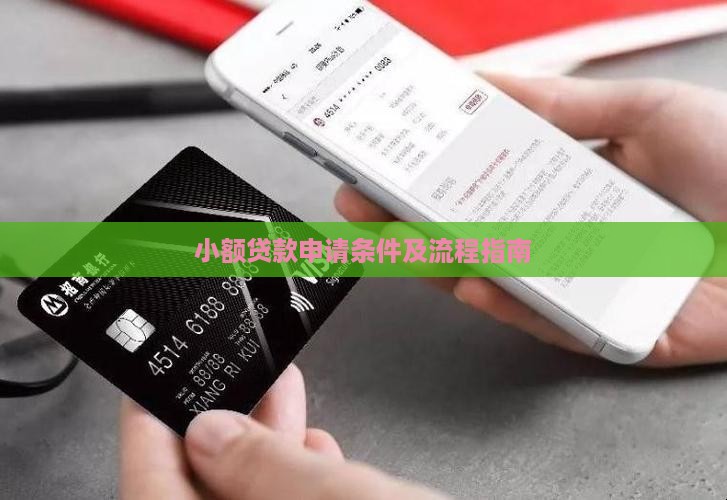 小额贷款申请条件及流程指南
