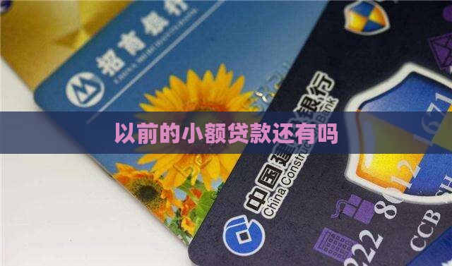 以前的小额贷款还有吗