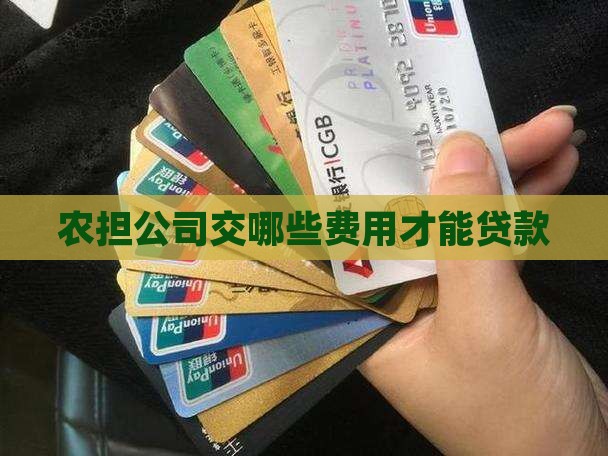 农担公司交哪些费用才能贷款