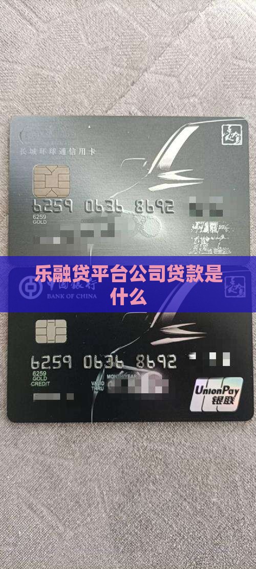 乐融贷平台公司贷款是什么