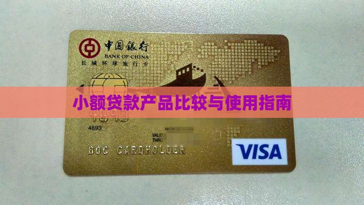 小额贷款产品比较与使用指南