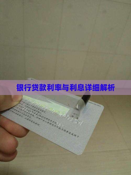 银行贷款利率与利息详细解析