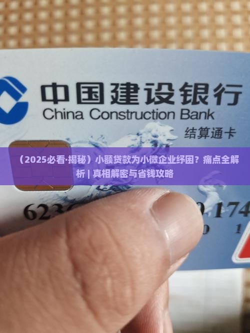 小额贷款小微企业 小额贷款小微企业