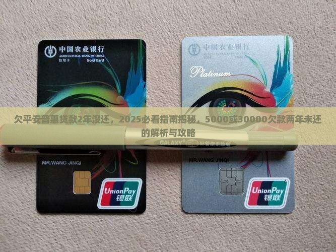 欠平安普惠贷款2年没还