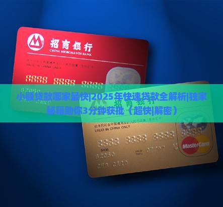 小额贷款哪家最快