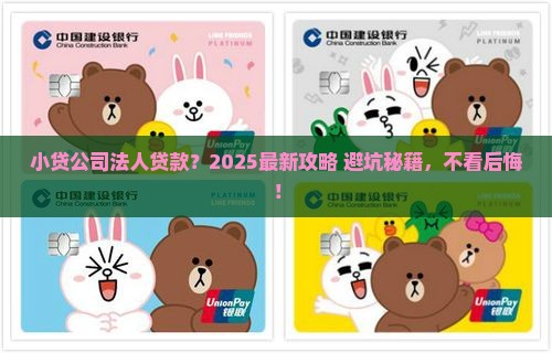 小贷公司的法人贷款
