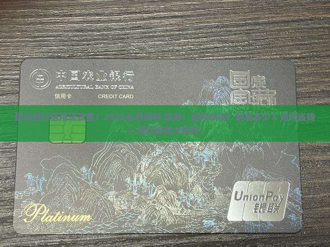 建设银行信用贷款查