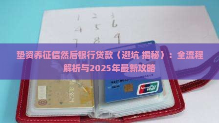 垫资养征信然后银行贷款