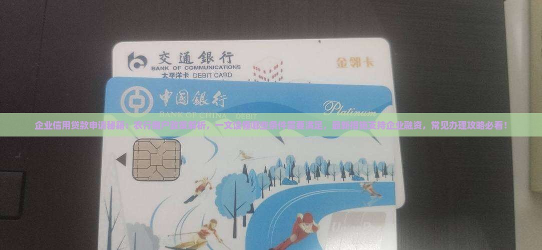 企业信用贷款条件要求