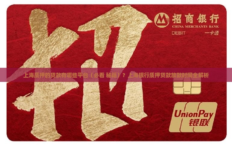 上海质押的贷款有哪些平台