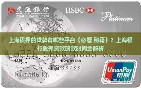 上海质押的贷款有哪些平台