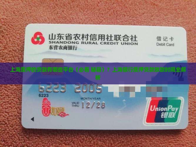 上海质押的贷款有哪些平台