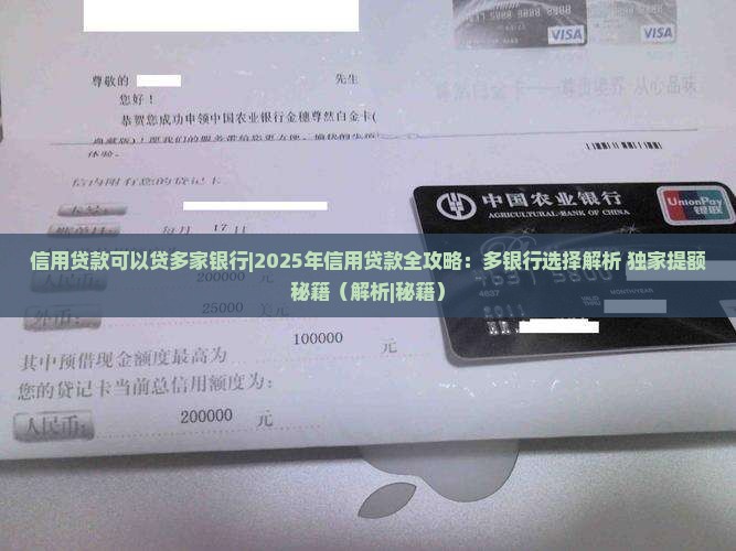 信用贷款可以贷多家银行
