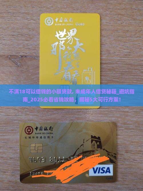 不满18可以借钱的小额贷款