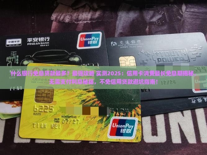 什么银行不免息贷款最多