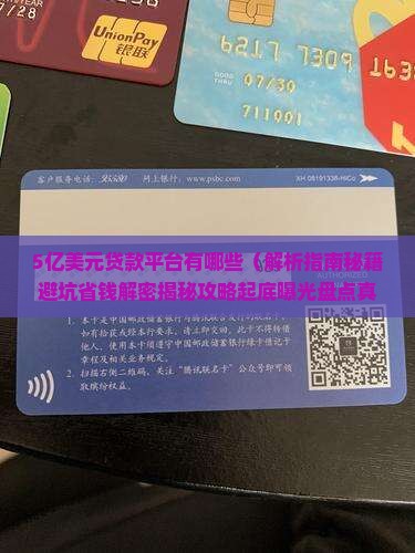 5亿美元贷款平台有哪些