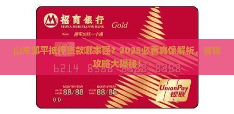 山东邹平实物抵押贷款公司