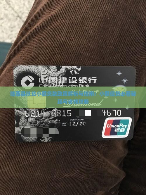 临西县扶贫小额贷款政策