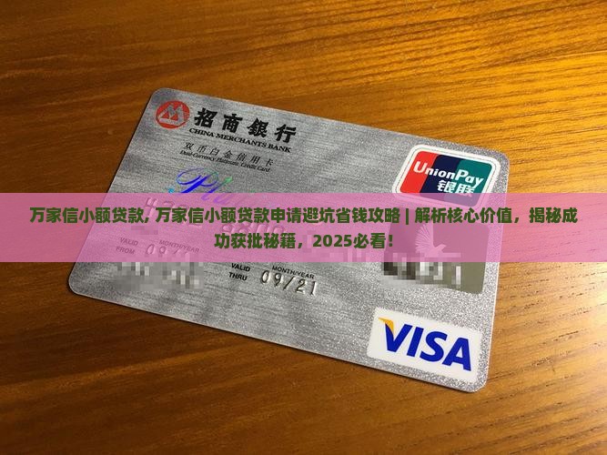 万家信小额贷款