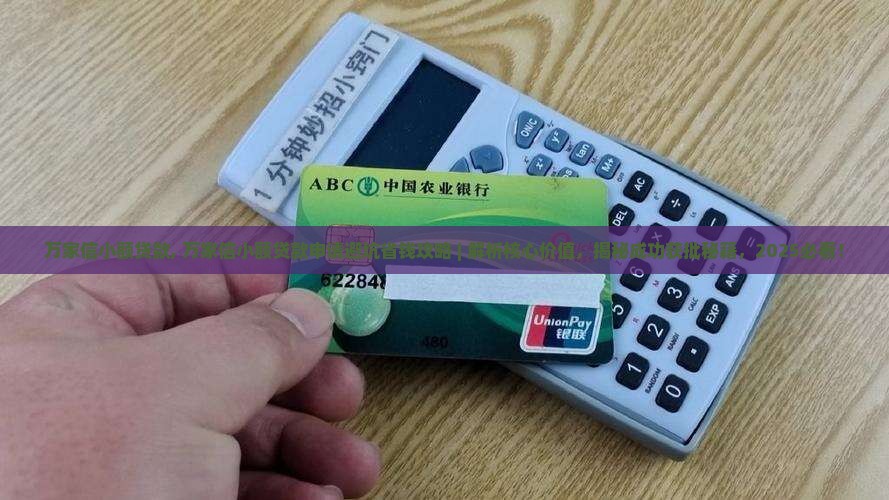 万家信小额贷款