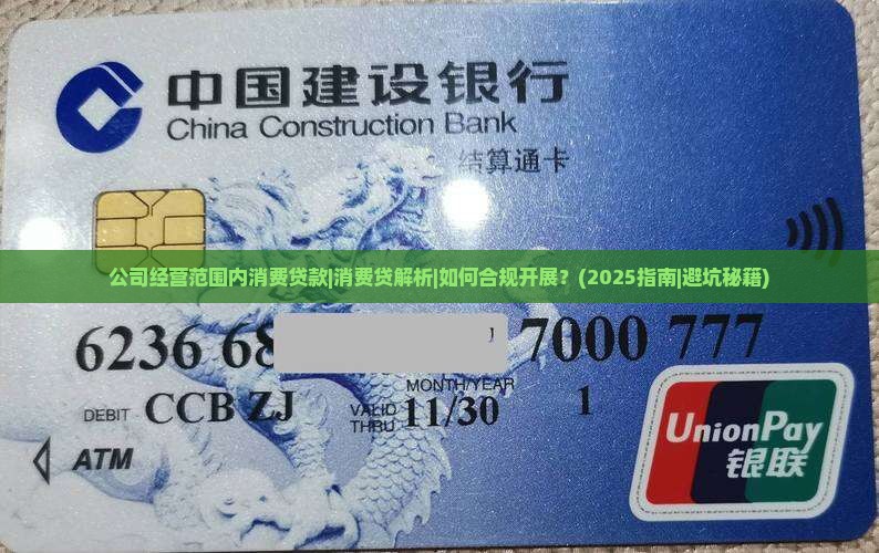 公司经营范围内消费贷款