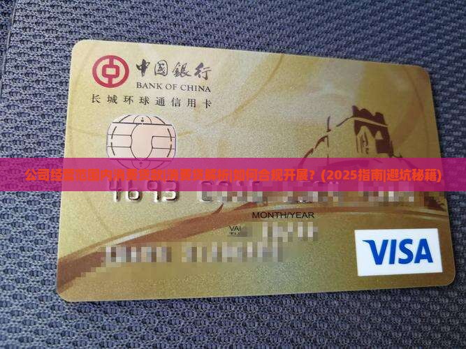公司经营范围内消费贷款