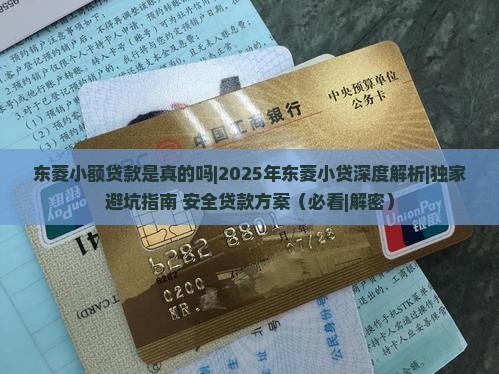 东菱小额贷款是真的吗
