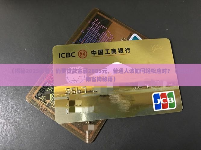 消费贷款金额2885