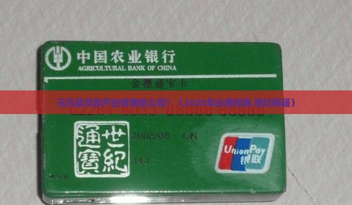 元氏县贷款平台有哪些公司